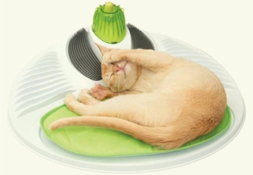 Centro de bem-estar para gatos faz massagens e até estimula as gengivas