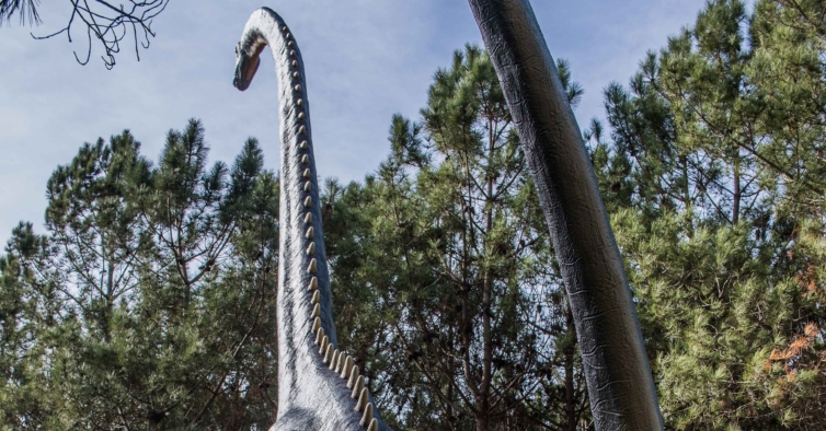 O Diplodoco era um herbívoro que viveu durante o período Jurássico