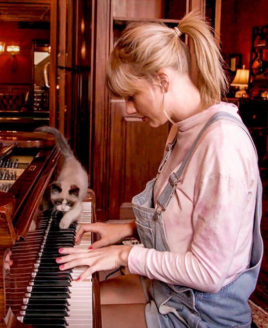 Cães, gatos e ovelhas giram 360º ao som de Taylor Swift; conheça