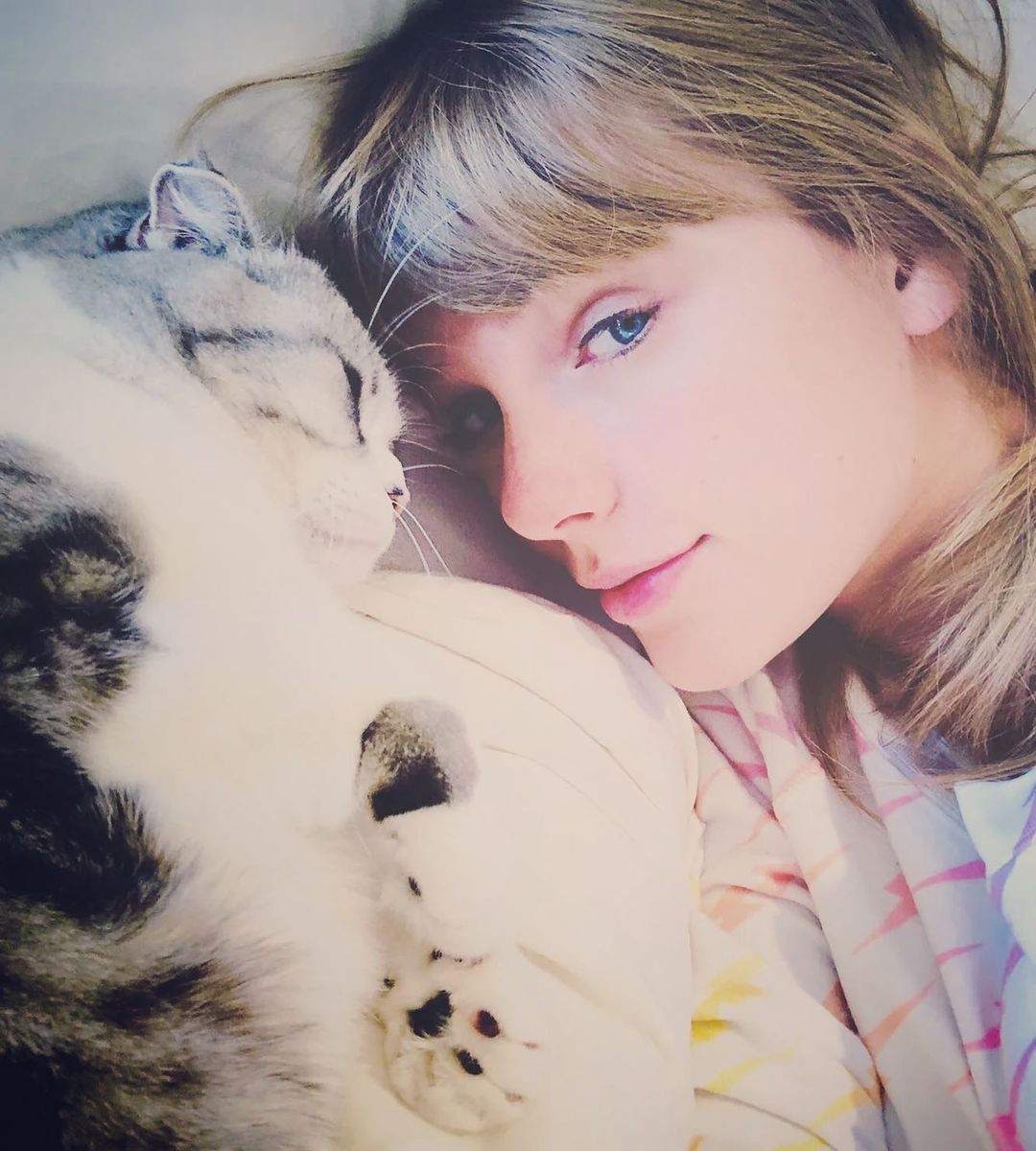 Taylor Swift é a “Personalidade do Ano” para a Time. Mas o gato é que é a  estrela – PiT