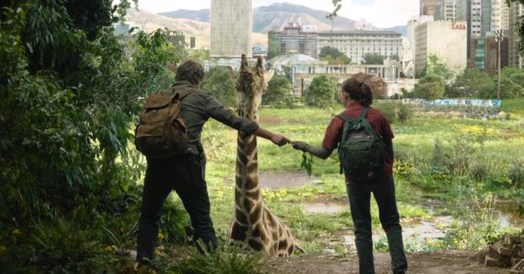 The Last of Us: 'fungo zumbi' da série da HBO é real? Sim e pode