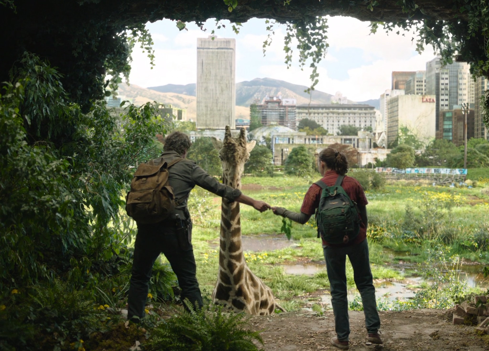 Último episódio de The Last of Us da HBO tem girafas, emoção e