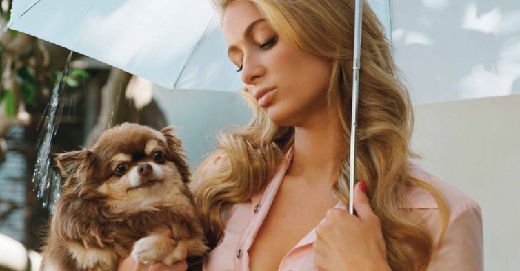 Loves It Dog Carrier by Moshiqa – Paris Hilton Shop