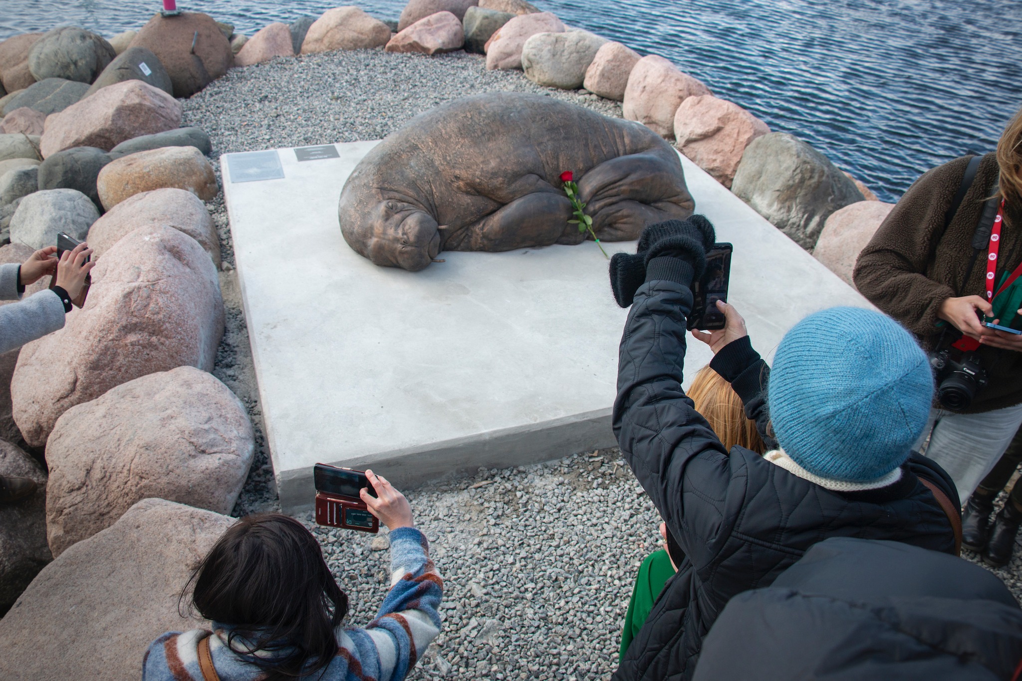 Noruega arrecada US$ 20.000 para erguer estátua da morsa Freya - ISTOÉ  Independente