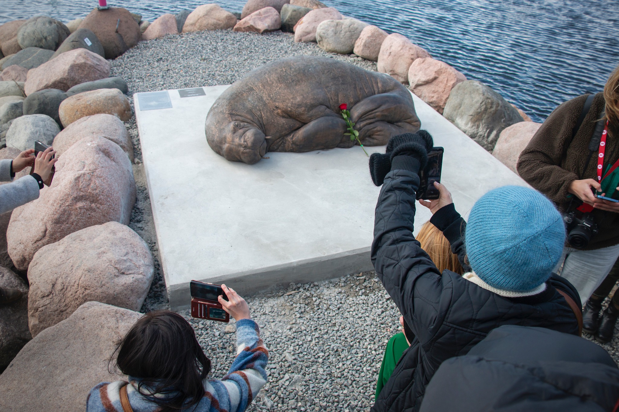 Escultura de morsa sacrificada é inaugurada na Noruega – DW – 29