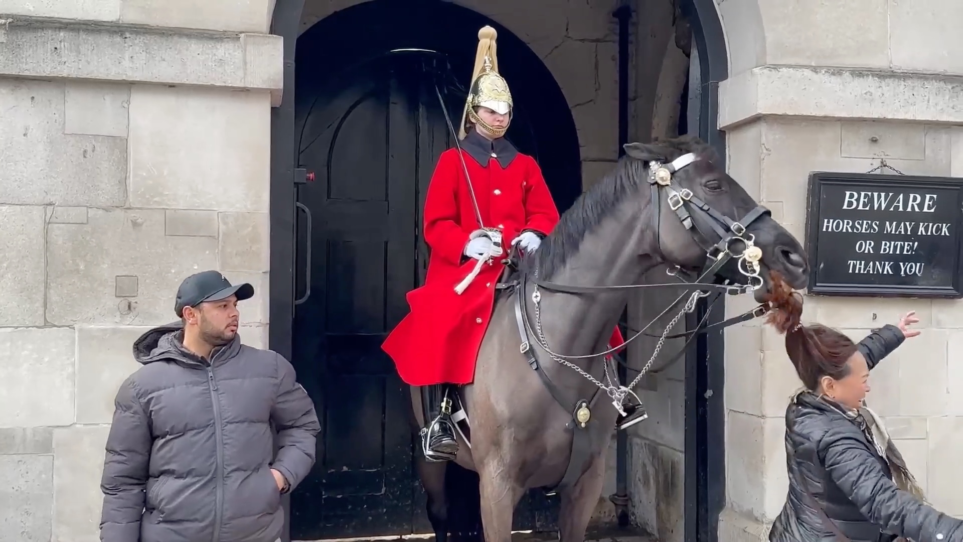 Cavalo Real não aguenta. #Guardareal #RoyalGuard #GuardiaReal