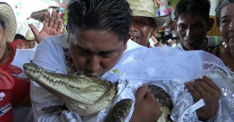 Empresário com pára-quedas caindo em crocodilos famintos