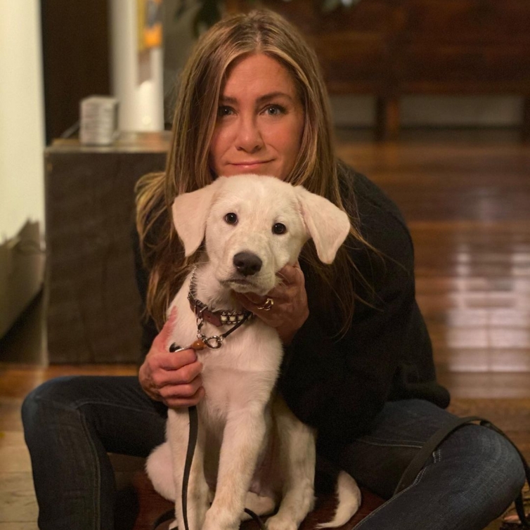 Jennifer Aniston quis celebrar 2 anos da sua marca. Mas o seu cão teve outros planos