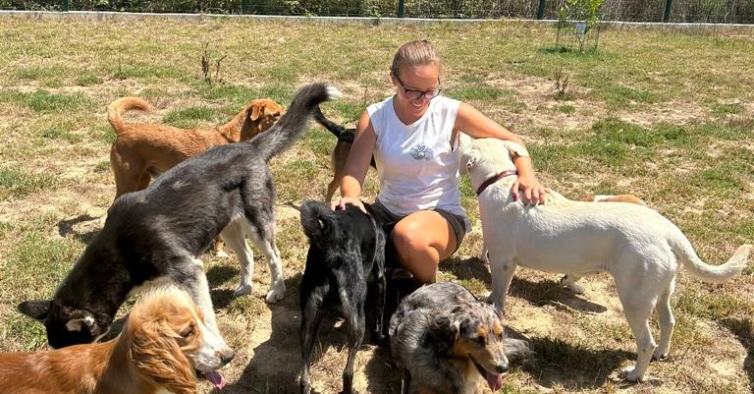 Sonhar com animais pode não ser o que você imagina