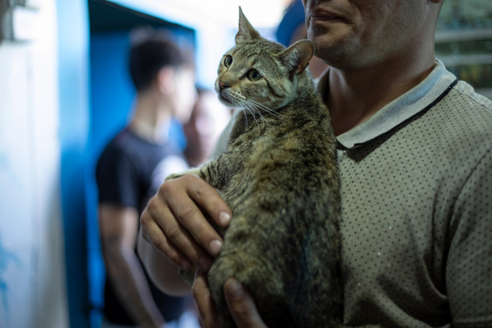 Nesta Prisão, Os Gatos São As únicas Companhias Dos Reclusos. Há Mais ...