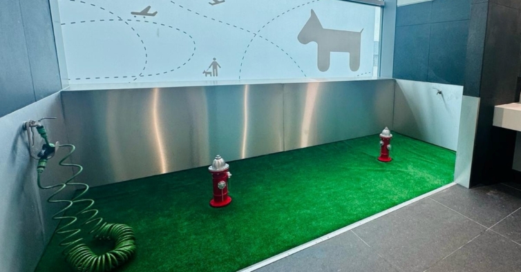 Aeroporto de Lisboa já tem WC canino. E até relva e saquinhos tem