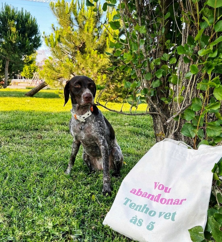 Be More Dog
