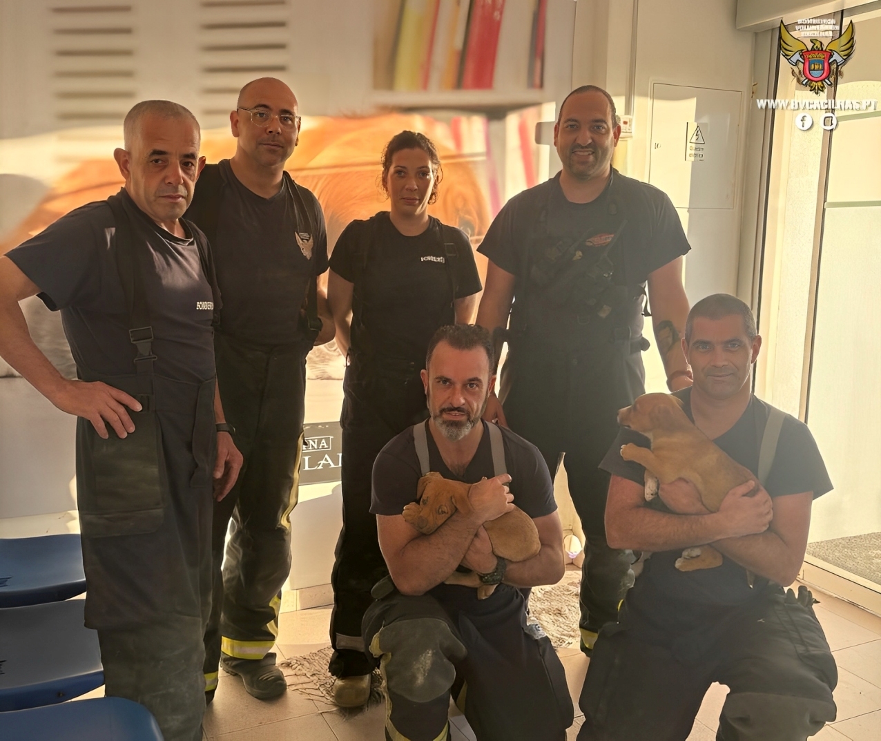bombeiros