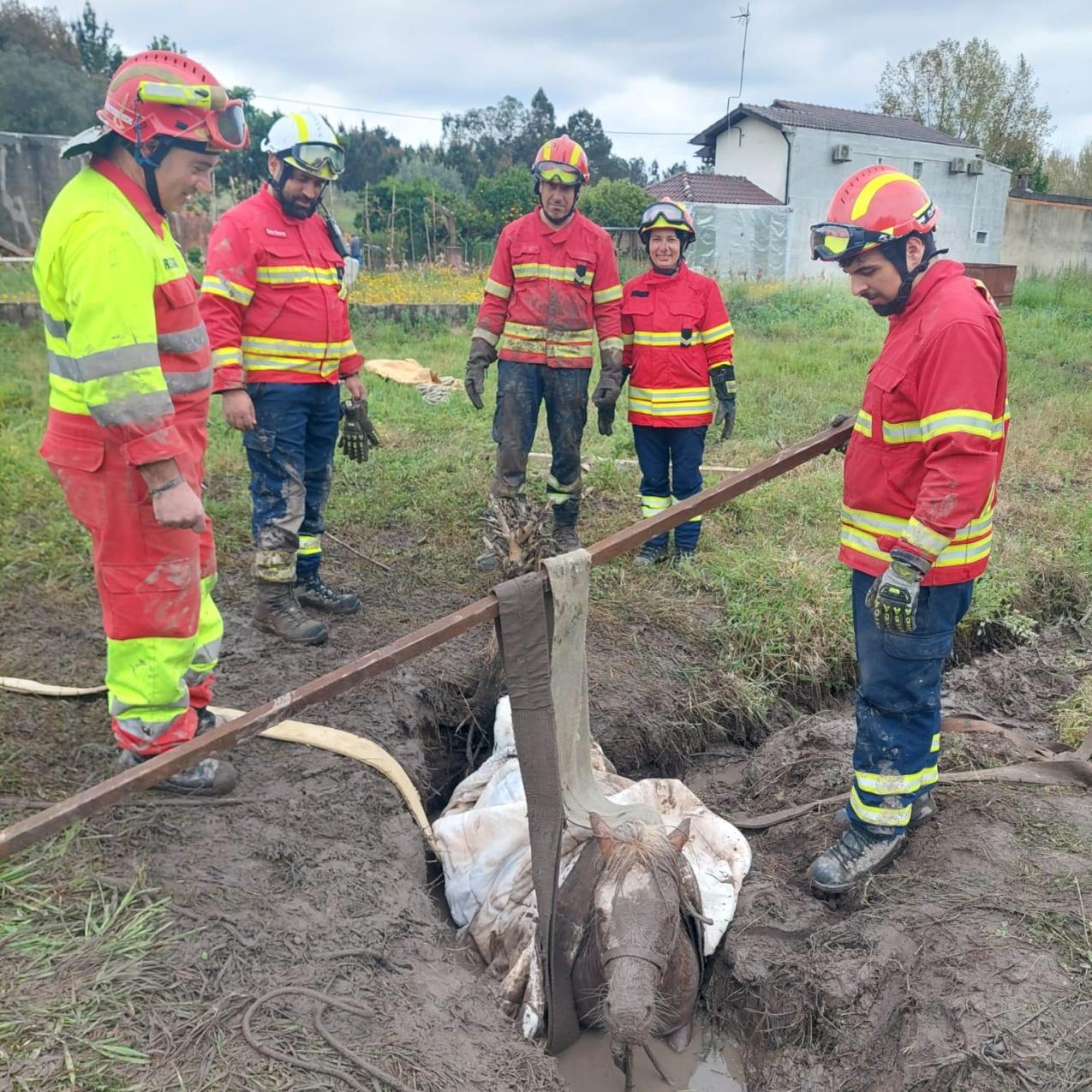 bombeiros