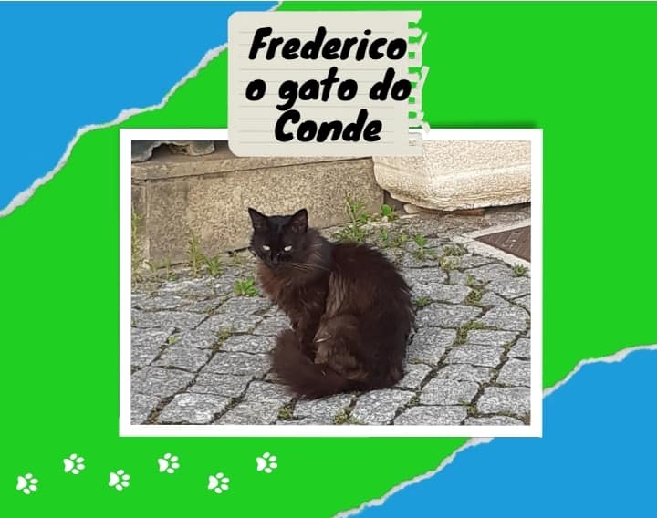 Frederico