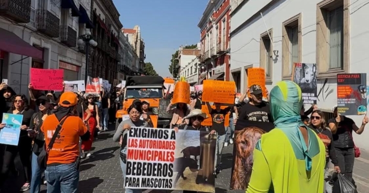 Participou em manifestações